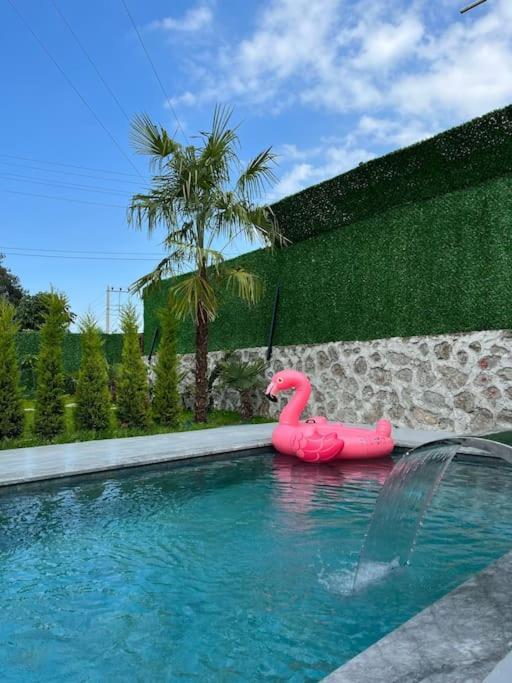 Willa Shino Sapanca'Da Sicak Havuzlu Tatil Keyfi! Zewnętrze zdjęcie